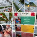 베리유디 이미지