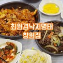 최원겸낙지명태