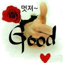 안계천 Daum카페