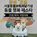 비글구조네트워크 동물메디컬센터 | 2025 동물행복 페스타 견생2회차 자랑대회 기다려부문, 달려오개 참가 후기!