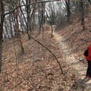 38호공원 Daum카페