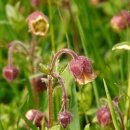 오늘카레 이미지