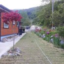 숲펜션민박 이미지