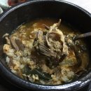 오늘따라청둥오리 이미지