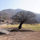 남산리
