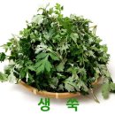 해풍 쇼핑하우