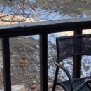 루아네 하우스 이미지