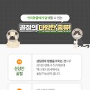 24시 코끼리동물의료센터 이미지