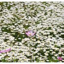 신흥근린공원 이미지