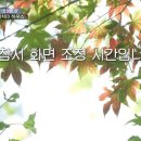 더바디아로마