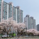 금곡LG칠보공인중개사사무소 이미지