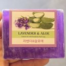 쉬리공원 | 화담숲 예약부터 모노레일 이용 관람 코스까지 다녀온 후기