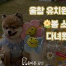 올바른참견 이미지