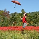 하늘을 향하여 이미지