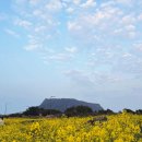 성산등용로 | 제주 동쪽 성산일출봉 가성비 코업시티 호텔 숙박 후기 &amp; 아시 횟집은 글쎄요...?