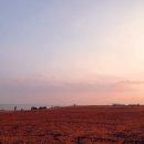 오산목장 이미지