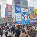 금룡관광호텔 | 일본여행 이비스 버젯 오사카 우메다 호텔? 금각사와 청수사 그리고 도톤보리 상징 글리코 간판 유래를...