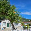 금오도 초원의 집 이미지