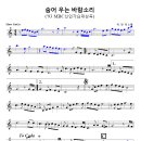 숨어우는바람소리(눈감고 부르기) 이미지