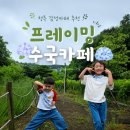수국카페 | 청주 수국카페 프레이밍 방문 후기, 부모님과 아이들이 함께 즐긴 힐링카페