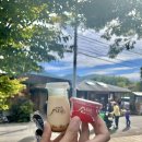 토리수 | [후쿠오카] ✈️후쿠오카 여행 3일차(코메다 커피/유후인 버스투어/야키니쿠 맛집 추천/돈키호테 나카스...