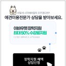 희망 애견 미용실 이미지