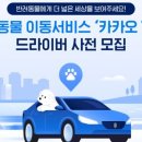 카카오펫 이미지