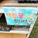안중농자재 네이버블로그