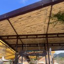 진실목장 | 달랏 랑비앙 랜드 솔직 후기! 고카트 콤보권 굳이 안 사도 되는 이유 (입장권/가격/꿀팁)