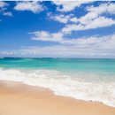 매일새옷 이미지