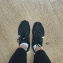 수원-0965 | 여성 로드 런닝화 추천, 나이키 페가수스 41 FQ0965-002 , 230 착용감 런닝후 솔직후기