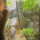 동굴왕족 이미지