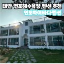 태안 연포해수욕장 펜션추천 연포하이바다펜션 1박 후기
