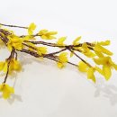 모조통상