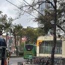 예스코디 | 대만 예스허지 투어 1탄! 예류 지질공원, 스펀 풍등 날리기 (옷 코디 추천, 펀패스 사용)