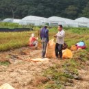 만식농장 이미지