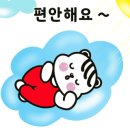 덴트스타 네이버블로그