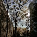 달맞이봉(공원) 이미지