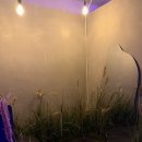 양파살롱 | 오류동 술집 김봉환의 1984 심야살롱 오류본점 후기