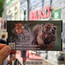 150025 | [하얼빈 가볼만한곳]긴 사파리 코스로 매우 추천하는 동북호림원 후기/Siberia Tiger Park