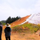 금산리방대형고분 이미지