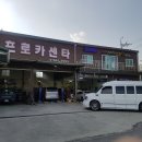 신프로카센타