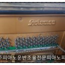 솔로몬피아노 이미지