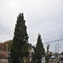 류인석 흉상 이미지