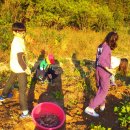 풀내음힐링캠프 이미지