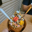 치즈품은동전빵 - 공주시 | 치즈품은동전빵