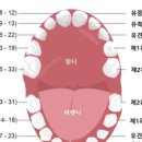 삼호치과의원 이미지