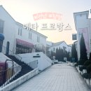 죽녹원게임랜드 | 국내 봄 여행지 전라남도 담양 메타프로방스 카페 맛집 먹거리 주차 국내 유럽마을 ♥