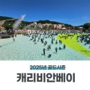 캐리비안리조트 | 캐리비안베이 썬베드 라이즈 골드시즌 할인 식당 놀이기구 후기