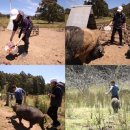 윤정수농장 이미지